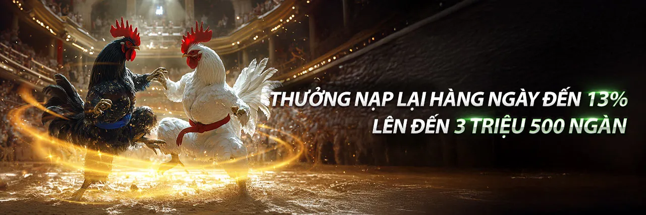 Tính năng nổi bật của nền tảng đá gà VG99 Nổ Hũ
